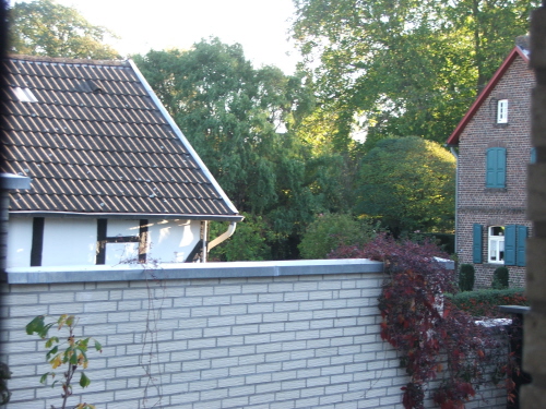 Image Image