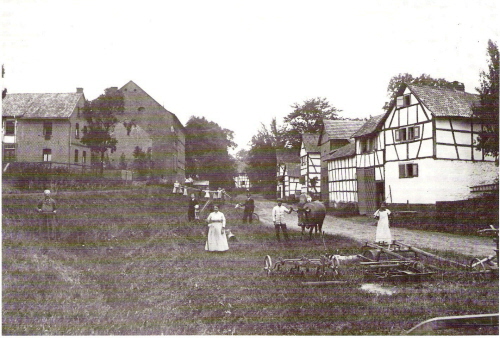 Image Image