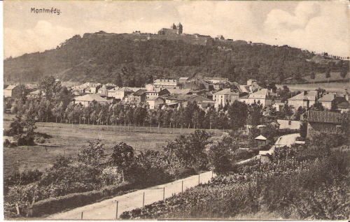 Image Image