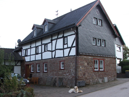 Image Image