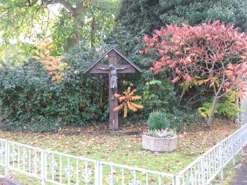 Image Image
