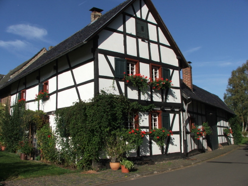 Image Image