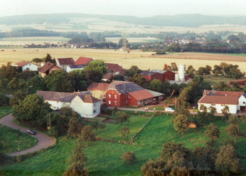 Image Image