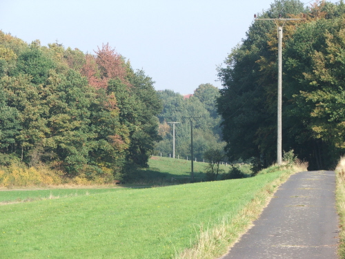 Image Image